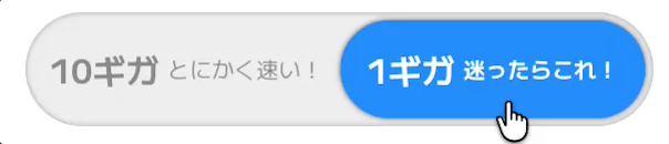 10Gと1G
